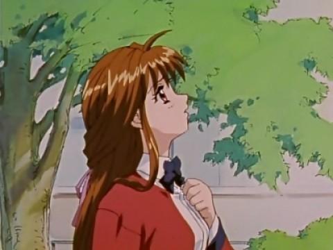 A Trick of Spring Breeze