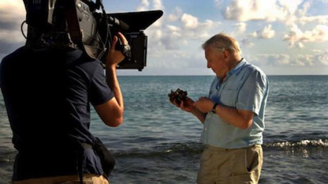 Attenborough's Journey