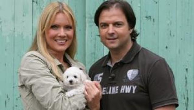 Die Suche nach einem neuen Hund für Antonia Langsdorf