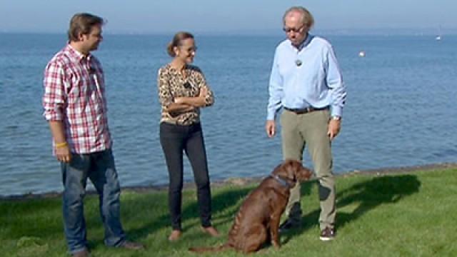 Mit B. Gräfin von Bentzel, Prof. Mang und Ch. Surer