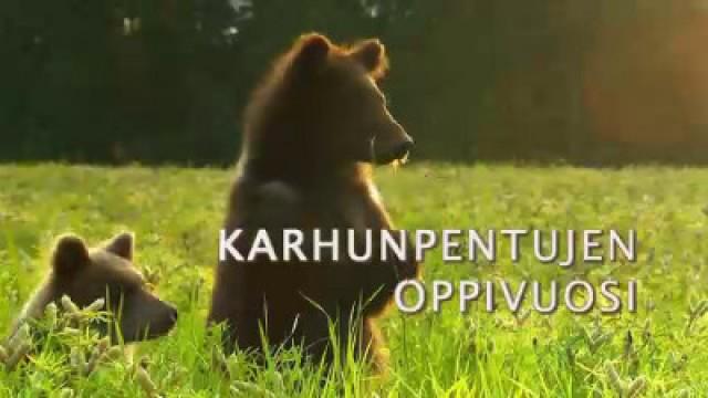 Karhunpentujen oppivuosi
