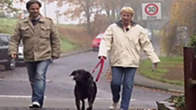 Pinkelnder Kenzo - Problemhund Mattes