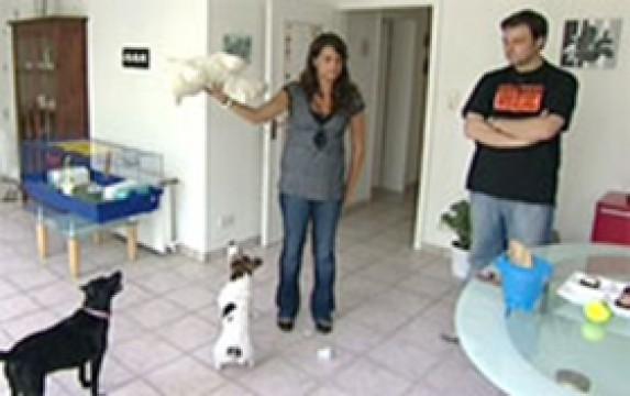 Randalierer Lizzy und Floh - Panischer Timmy
