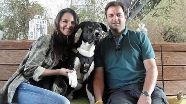 Mischlingsrüde Juno - Blindenhund Stella Teil 2