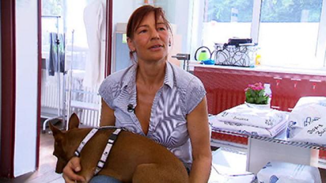 Hyperaktive Fly - Mag Lisa keine Kinder