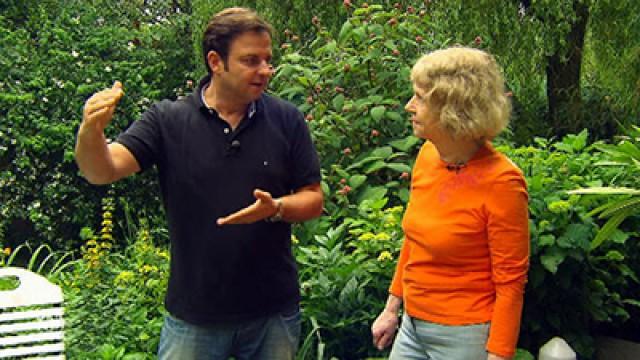 Mischlings-Geschwister Panda und Stella - Rüden Jerry und Aron