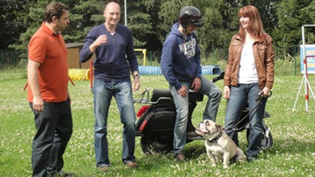 Labrador-Mischling Mogli - Bulldogge Tequila Teil 1