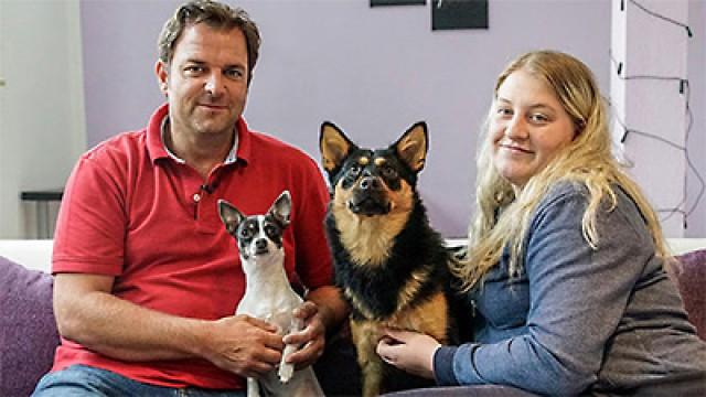 Schäferhundmischling Greta - Straßenhund Hector