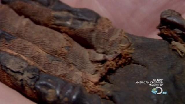 Mummified Hand