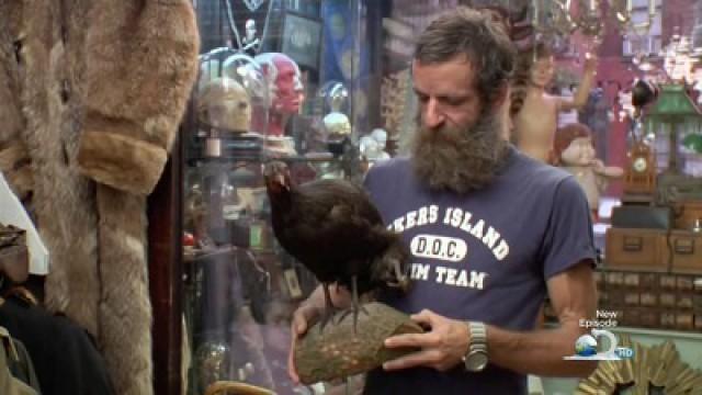 Four-Legged Chicken