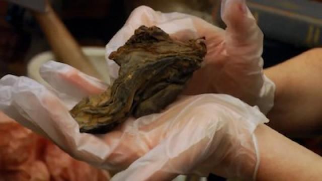 The Mummy Phallus Returns