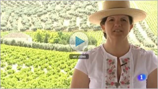 Cordoba, la niña bonita