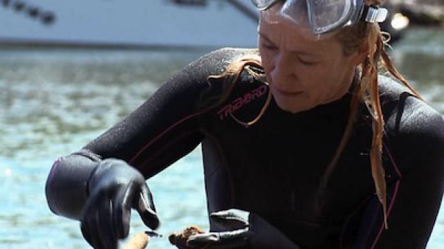 Menorca, un huerto en el mar