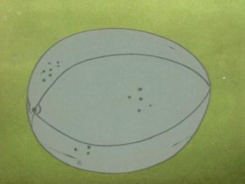 The Horse-Egg