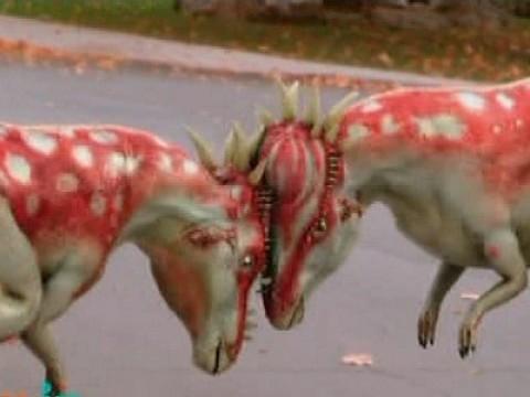 Dinos aus Pappe