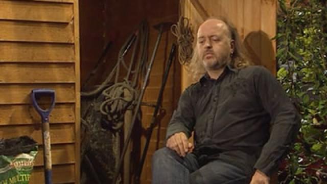 In The Shed