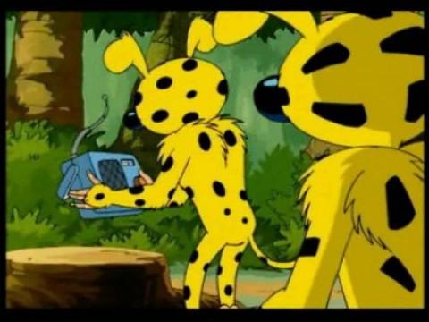 The Marsupilami in School