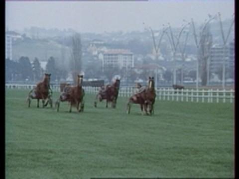 Appelez-moi Boggy