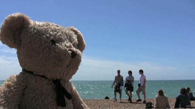 Misery Bear at the Seaside