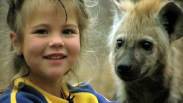 Hyena Affair