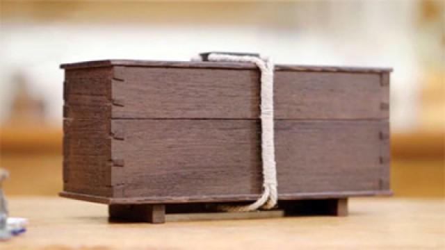 Dovetailed Tea Box