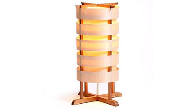 Contemporary Table Lamp