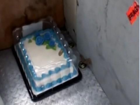 Cakes on a Plane