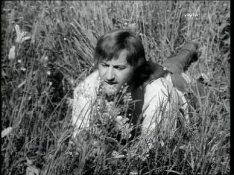 Das Schießen