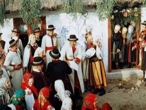 Boryna