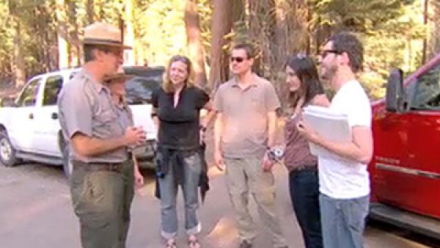Camping Craziness
