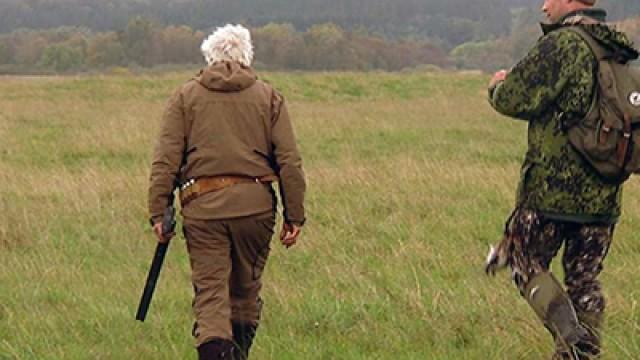 En bekkasin ved Rold Skov