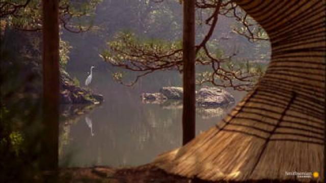 Dream Window: Reflections on the Japanese Garden