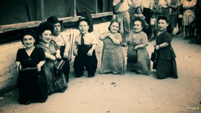 The Seven Dwarfs of Auschwitz