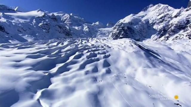 Stranded: Alpine Air Crash