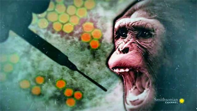 The Rise of the Killer Virus