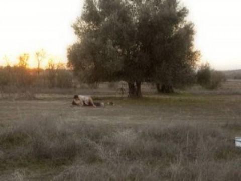 Soledades, búsquedas y otras pequeñas salvaciones