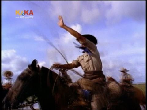 Gauchos in Argentinien / Todesottern in Australien / Quallen / betrunkene Affen