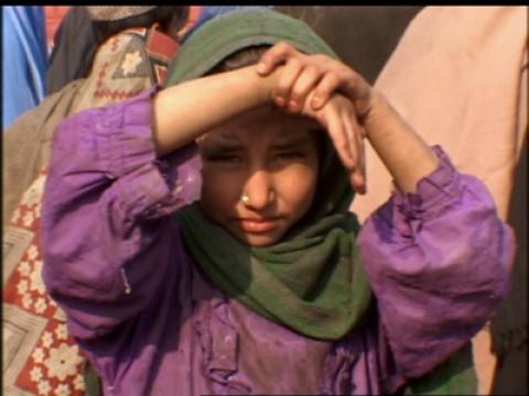Afghan Girl / Walhaie & Co in Belize / Kamelrennen / Skorpione