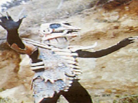 Demon Honegeruge's Illness of the Bleached Bone!!