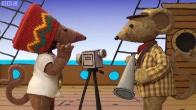 Mice Camera Action
