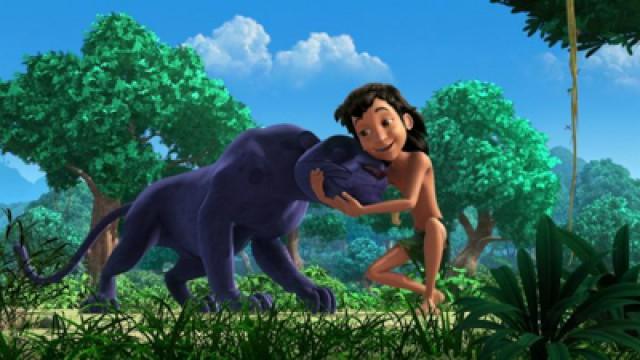 Panther in Distress