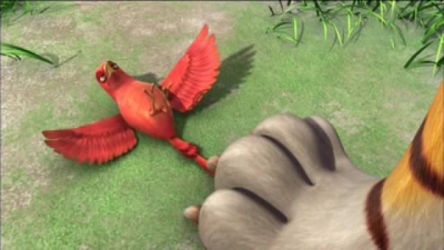 Super Bird