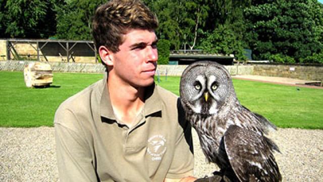 Misty the Owl