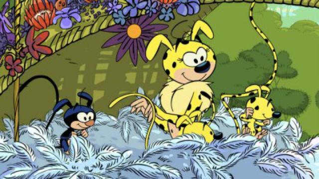 Marsupilu