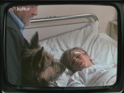 Mein Hund, mein Freund