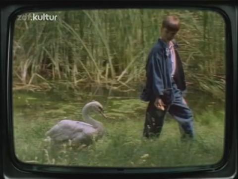 Sebastian und der Schwan
