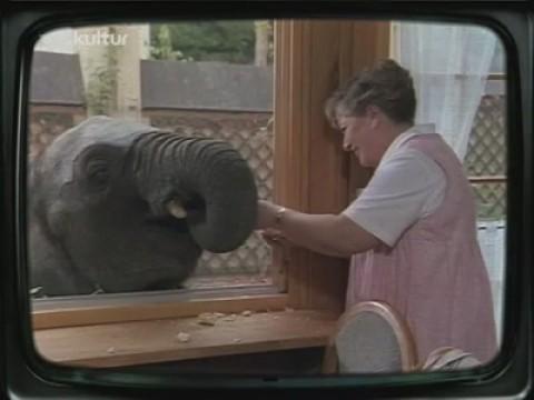 Tante Martha und der kleine Elefant