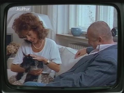 Julias Hund