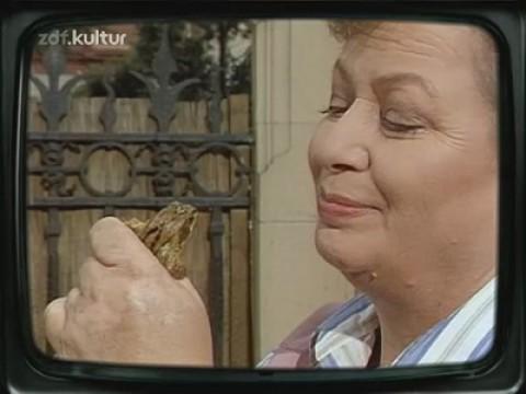Die Frösche und der Komponist