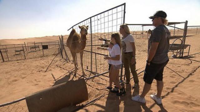 Safari Tour